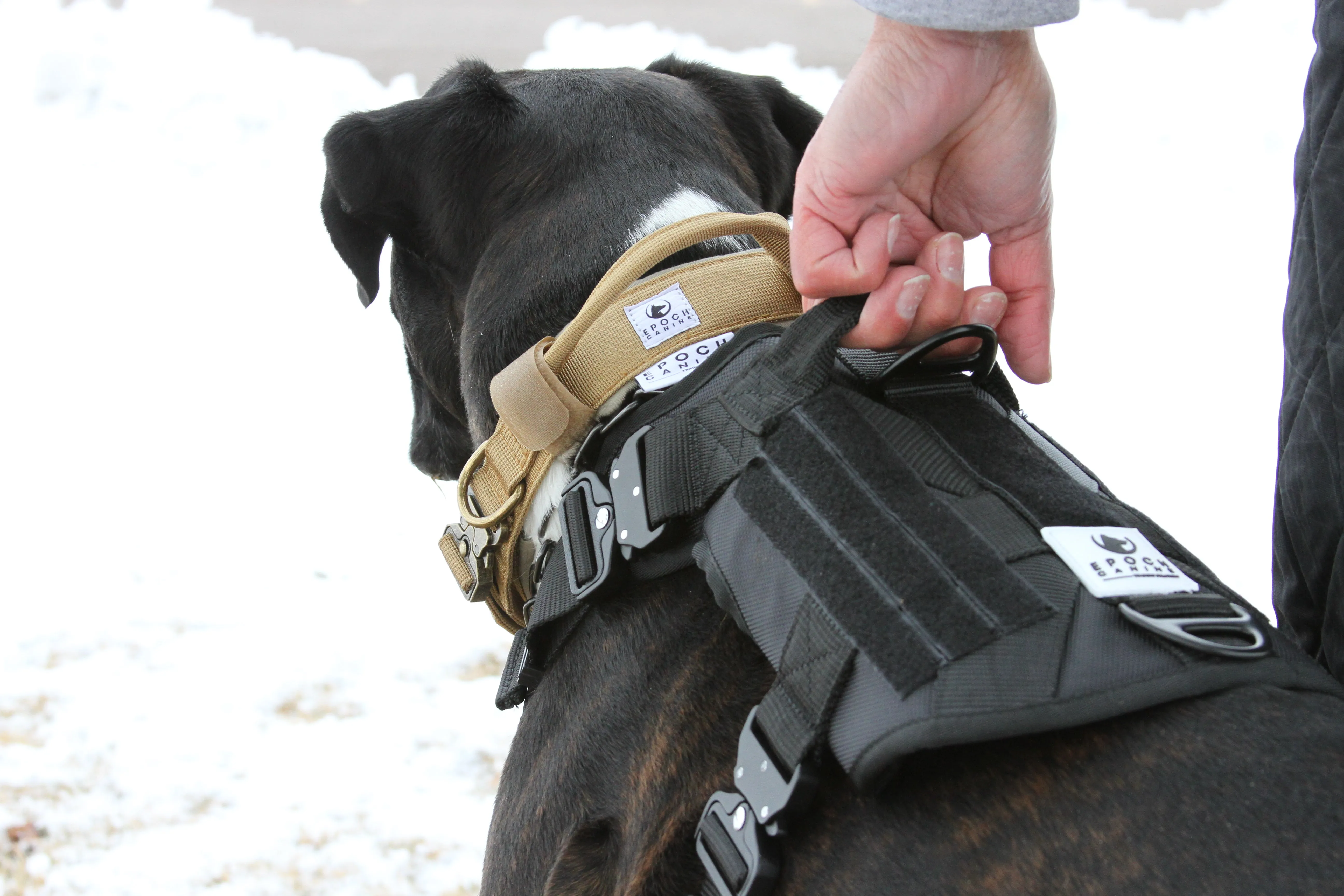 Epoch L1 Series Adventure/Tac Harness
