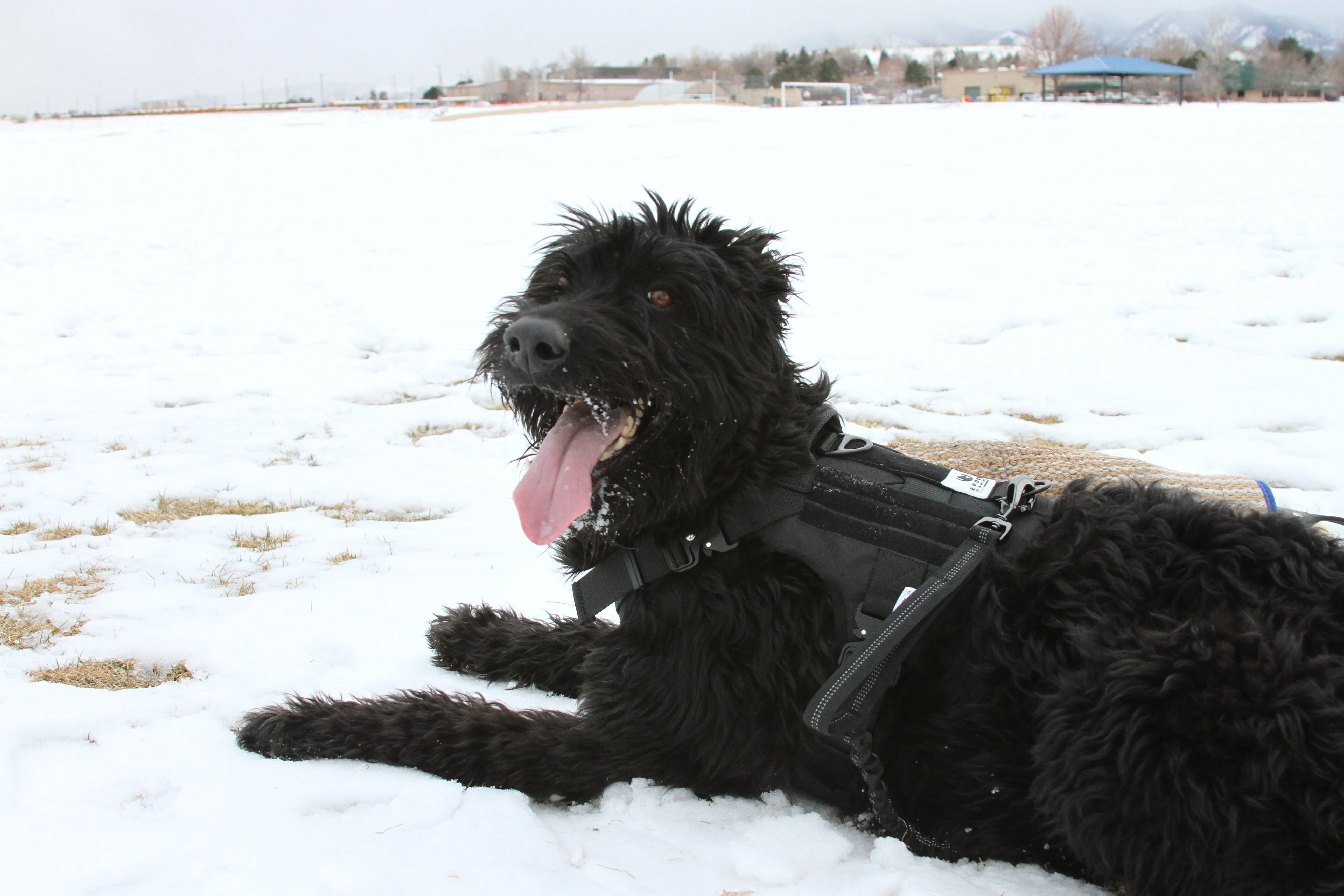 Epoch L1 Series Adventure/Tac Harness