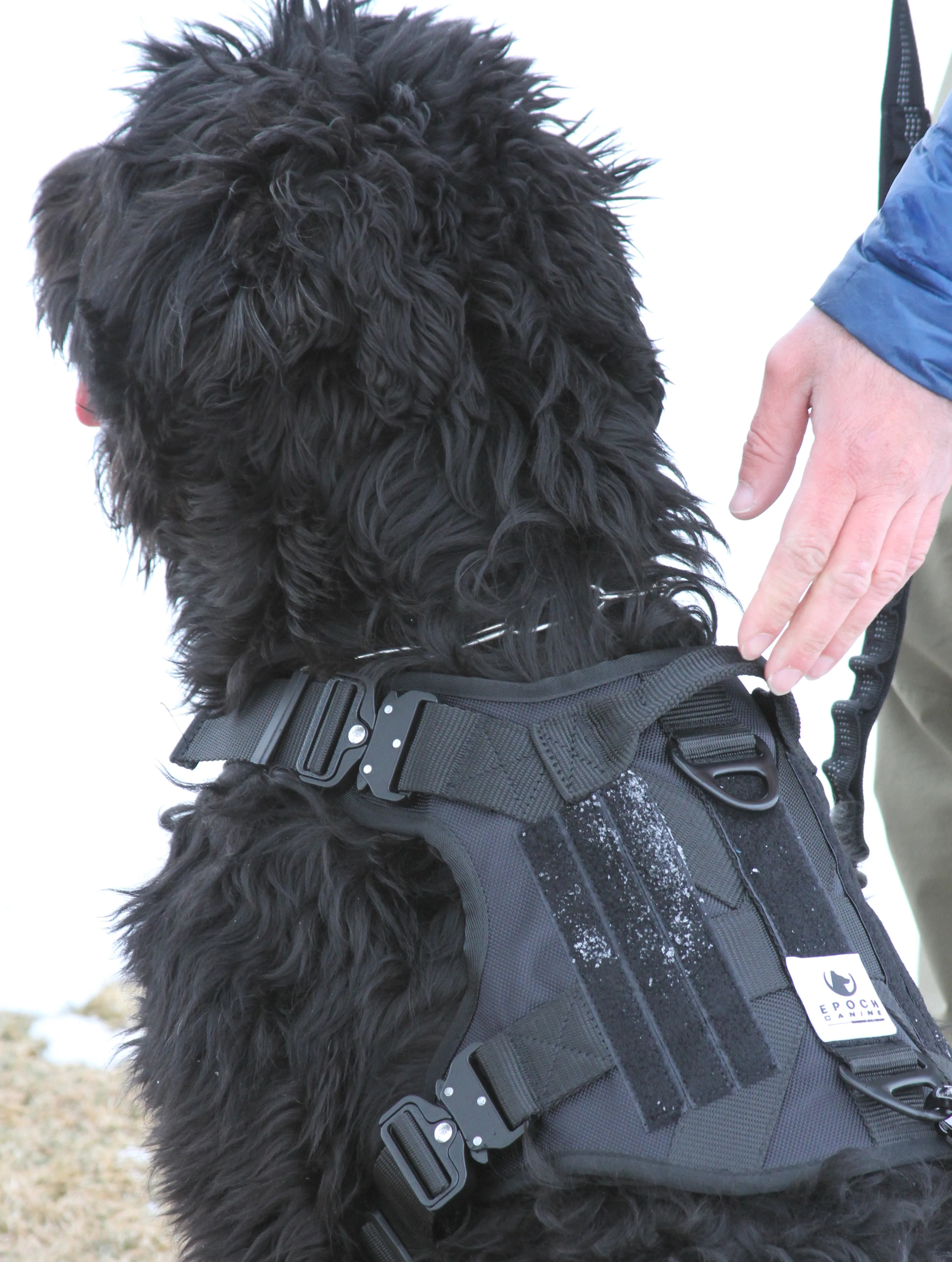 Epoch L1 Series Adventure/Tac Harness