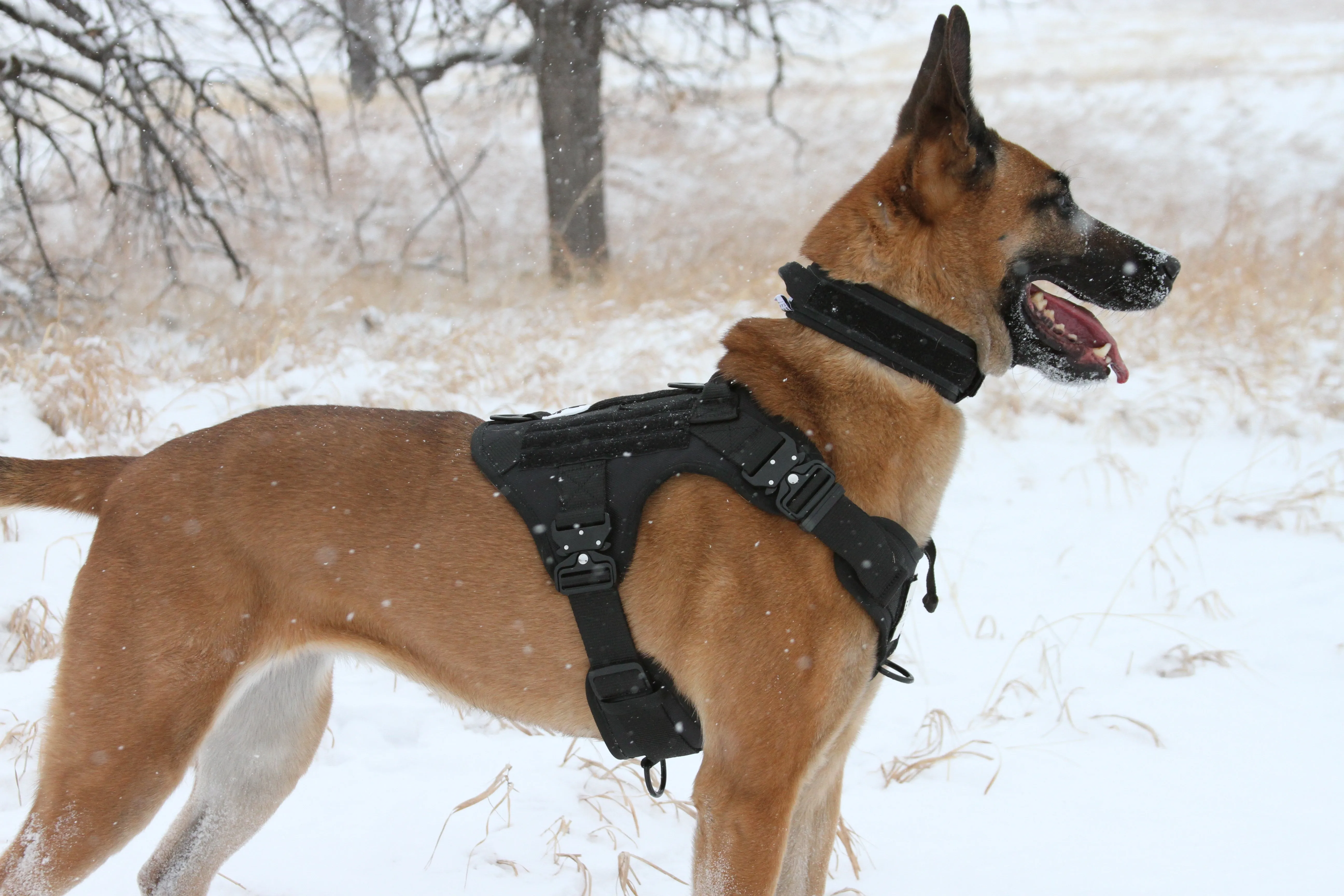Epoch L1 Series Adventure/Tac Harness